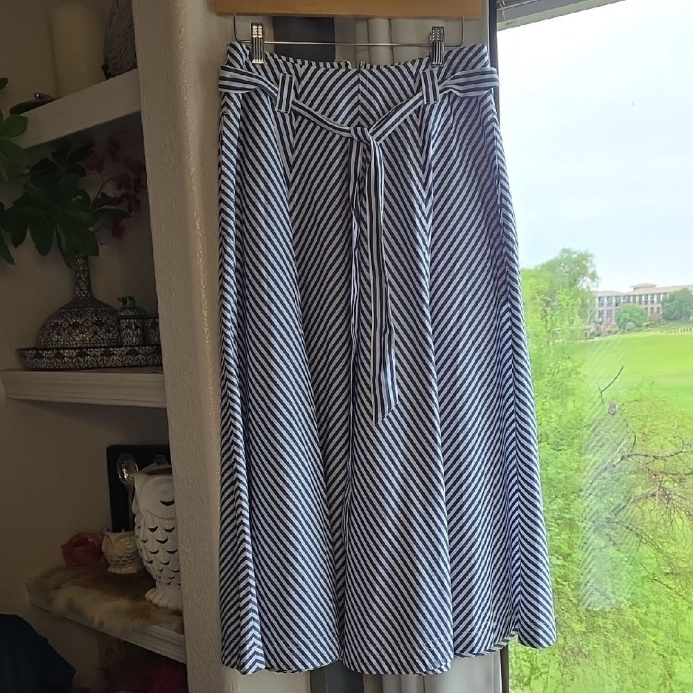 Madewell Blue and White A-Line Midi Poplin Flared Midi Skirt in Stripe 4